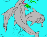 Dibuix Dofins jugant pintat per oriol