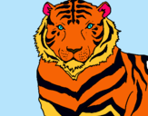 Dibuix Tigre pintat per HAIZEA  SEIJO