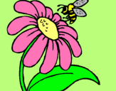 Dibuix Margarida amb abella pintat per estrella