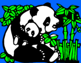 Dibuix Mare Panda pintat per Lluis R.