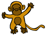 Dibuix Mico pintat per mono