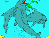 Dibuix Dofins jugant pintat per anònim