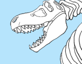 Dibuix Esquelet tiranosauri rex pintat per NIL