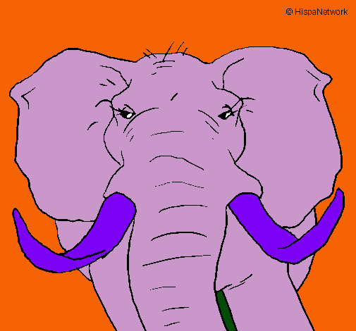 Dibuix Elefant africà pintat per emma