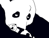 Dibuix Ós panda amb el seu cria pintat per alejandro