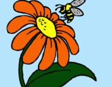 Dibuix Margarida amb abella pintat per maria fernanda portel