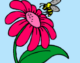 Dibuix Margarida amb abella pintat per maria fernanda portel