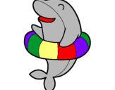 Dibuix Dofí amb flotador pintat per BERNAT