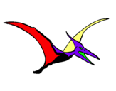 Dibuix Pterodàctil pintat per BERNAT