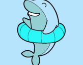 Dibuix Dofí amb flotador pintat per =) $$
