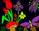 Dibuix Fauna i flora pintat per cilia nardi