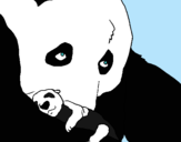 Dibuix Ós panda amb el seu cria pintat per sara puig blanco