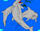 Dibuix Dofins jugant pintat per ismael