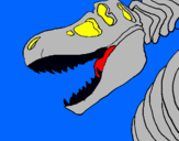 Dibuix Esquelet tiranosauri rex pintat per marc gonzalez