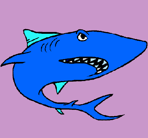 Dibuix Tiburón pintat per ARNAU