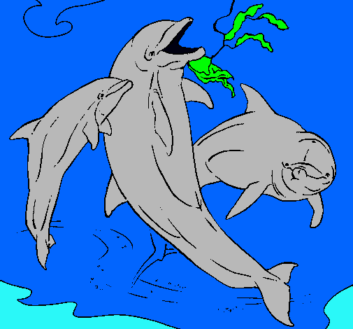 Dibuix Dofins jugant pintat per marc