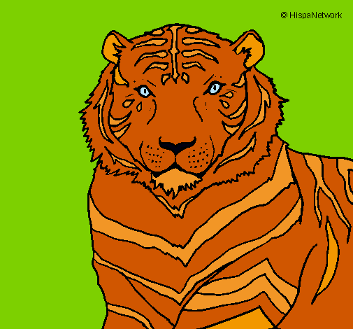 Dibuix Tigre pintat per claudia