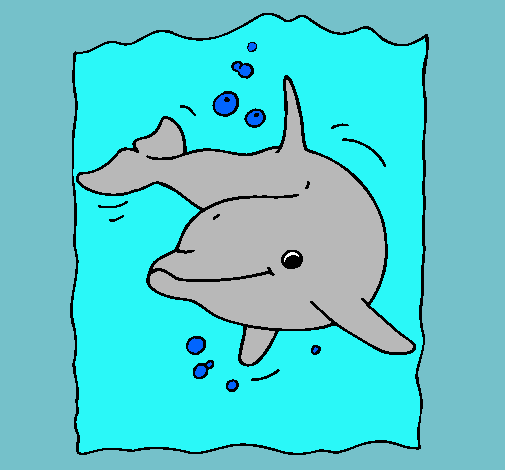 Dibuix Dofí pintat per diana nicola