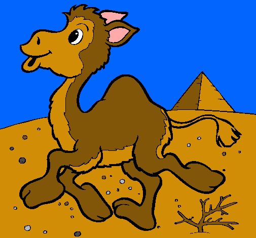 Dibuix Camell pintat per YOKOHAMA