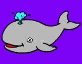 Dibuix Balena expulsant aigua pintat per NOA