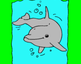 Dibuix Dofí pintat per NOA