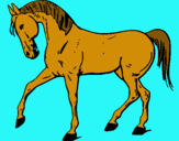 Dibuix Cavall amb la pota aixecada  pintat per hwh