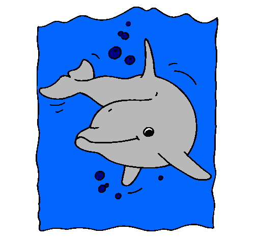 Dibuix Dofí pintat per marc