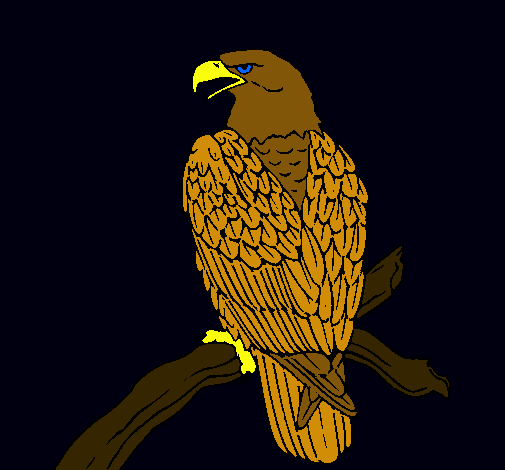 Dibuix Àguila en una branca  pintat per didac2005