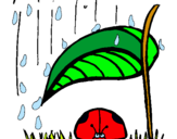 Dibuix Marieta de set punts protegida de la pluja  pintat per JanaBieber