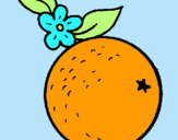 Dibuix taronja pintat per  selena gomes