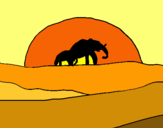 Dibuix Elefant en l'alba pintat per ÀFRICA SABARICH SEGALÀ