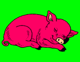 Dibuix Porc dormint pintat per Love