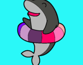 Dibuix Dofí amb flotador pintat per irina