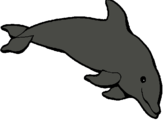 Dibuix Dofí content pintat per LIDIA