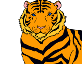Dibuix Tigre pintat per Martya
