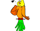 Dibuix Canari cantant pintat per ocell cantaire
