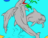 Dibuix Dofins jugant pintat per eloy lopez pol