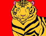 Dibuix Tigre pintat per aina