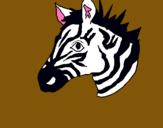 Dibuix Zebra II pintat per guillem