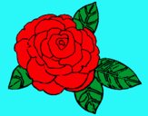 Dibuix Rosa pintat per cecilia gutierrs