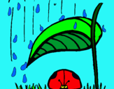 Dibuix Marieta de set punts protegida de la pluja  pintat per mario 20