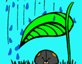 Dibuix Marieta de set punts protegida de la pluja  pintat per CAMILA ANDREA