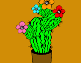 Dibuix Flors de cactus pintat per eloy lopez pol