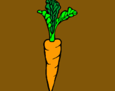 Dibuix pastanaga pintat per Eloy López Pol