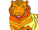 Dibuix Tigre pintat per ainoha