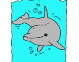 Dibuix Dofí pintat per DUFINET