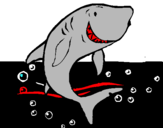 Dibuix Tiburón pintat per TETE  CARLOS