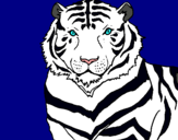 Dibuix Tigre pintat per mariona la millor