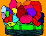 Dibuix Cistell de flors 12 pintat per flors