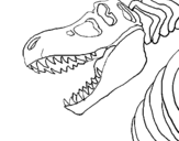 Dibuix Esquelet tiranosauri rex pintat per danei
